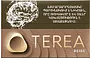 Տաքացվող ծխախոտի գլանակներ «TEREA BEIGE»