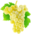 Виноград белый