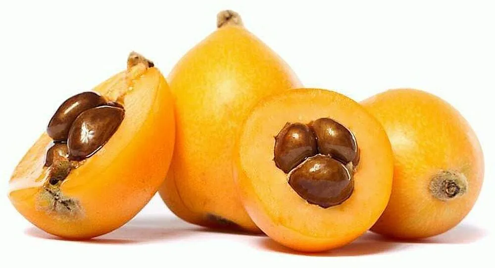 Medlar 