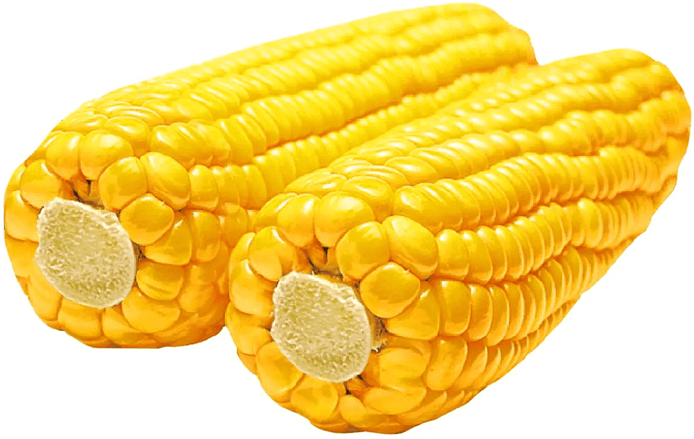 Кукуруза вареная