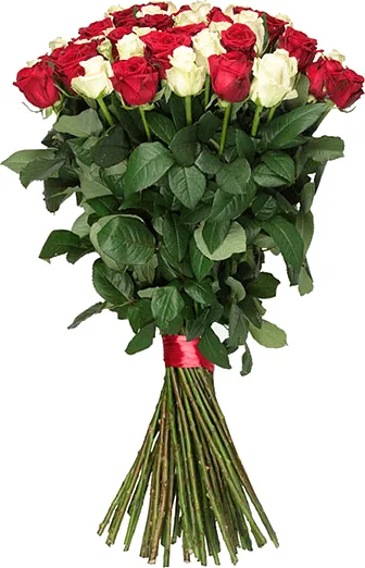 Ծաղկեփունջ «My Rose For Her»  51 հատ