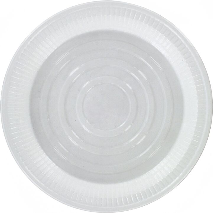 Disposable large plate "RH" pcs.