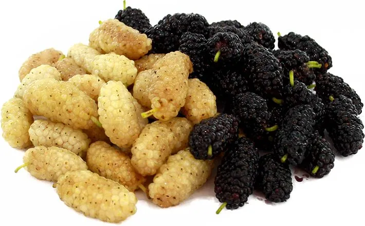 Թութ 