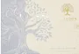 Chocolate candies collection "Paradox White Tree" 135g ±10%