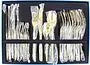 Cutlery set "Lotus" 24pcs