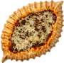 Պիդե հորթի մսով