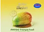 Աղանդեր սառը մուսային մանգոյի «Atelier Illusion Mango» 100գ