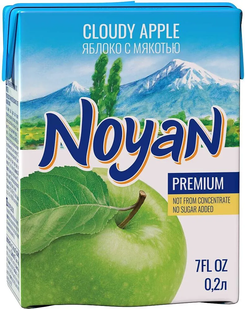 Apple juice "Noyan Premium" 200ml 
