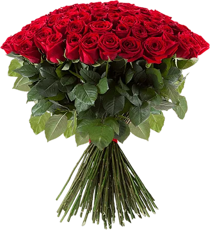 Ծաղկեփունջ «My Rose MIRAGE» 101 հատ, 70սմ