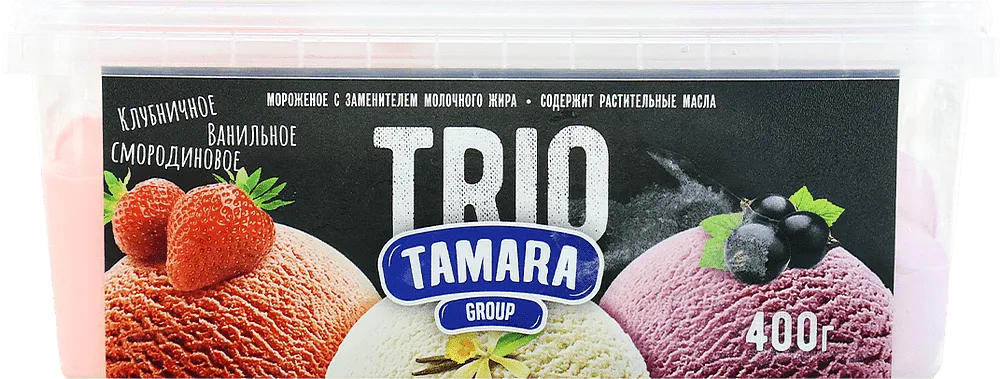 Fruit ice cream "Tamara Trio"  400g 