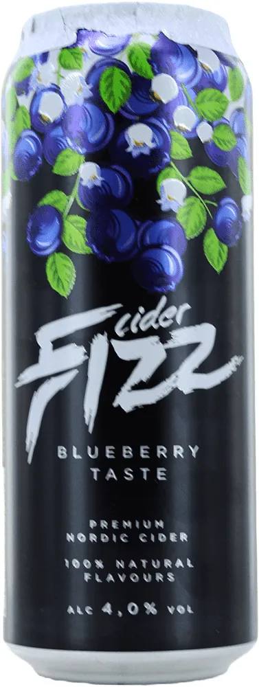 Cider with blueberry flavor "Fizz" 0.5l
