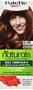 Hair dye "Palette Naturals" №6-68