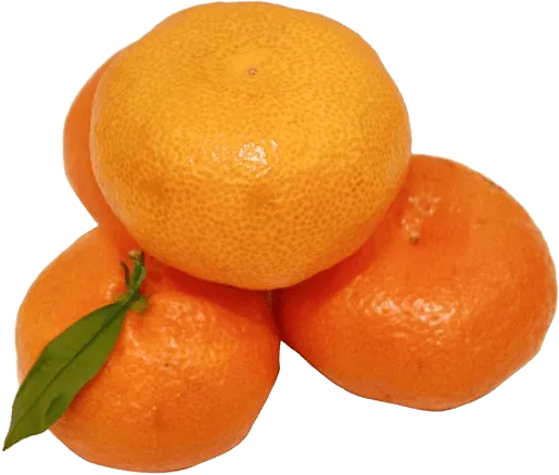 Մանդարին վրացական, մեծ  