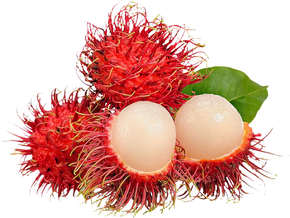 Rambutan
