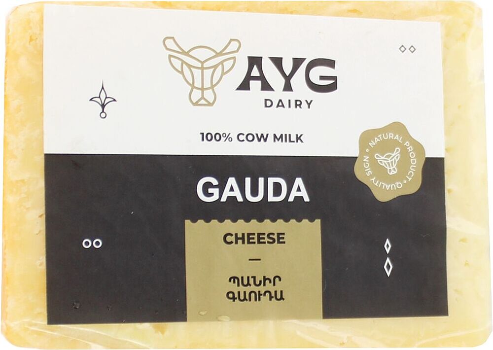 Gouda cheese "Ayg"