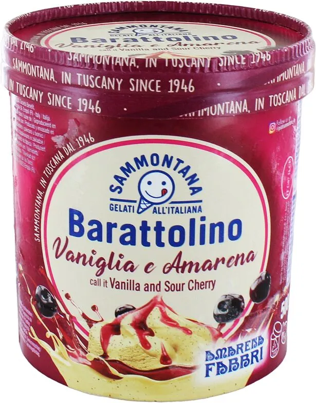 Vanilla ice cream "Sammontana Barattolino" 500g
