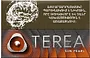 Տաքացվող ծխախոտի գլանակներ «TEREA Sun Pearl»
