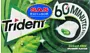 Spearmint flavored chewing gum "Trident" 22g