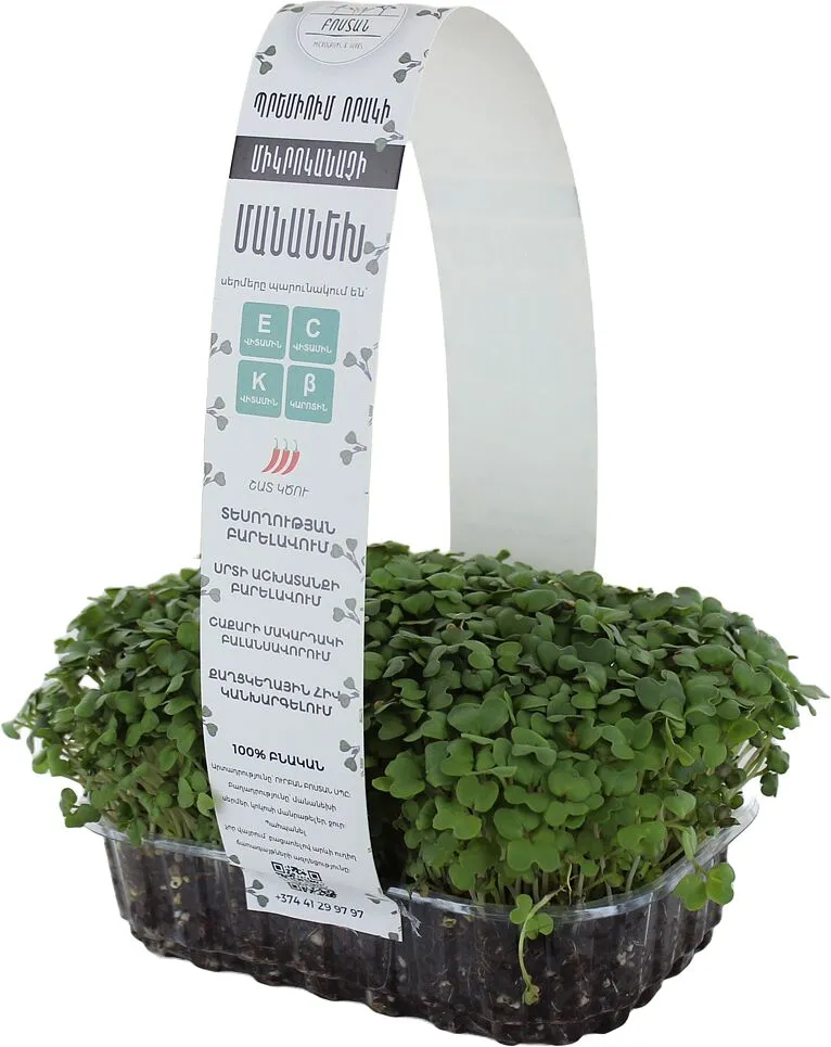 Microgreen mustard "Bostan"
