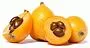 Medlar