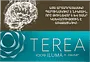 Տաքացվող ծխախոտի գլանակներ «TEREA TURQUOISE»