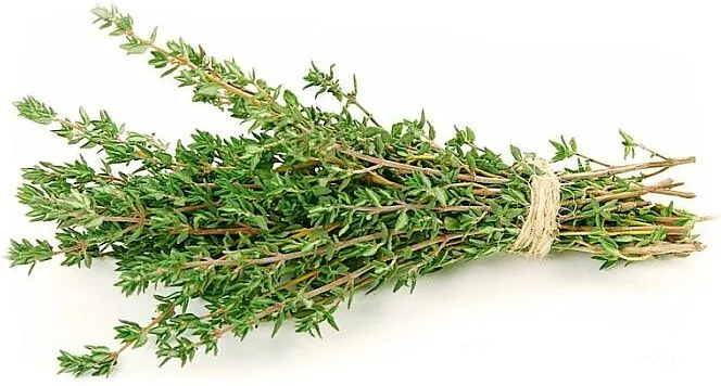 Thyme