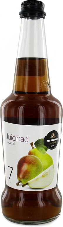 Juice "Juicinad" 0.5l Pear