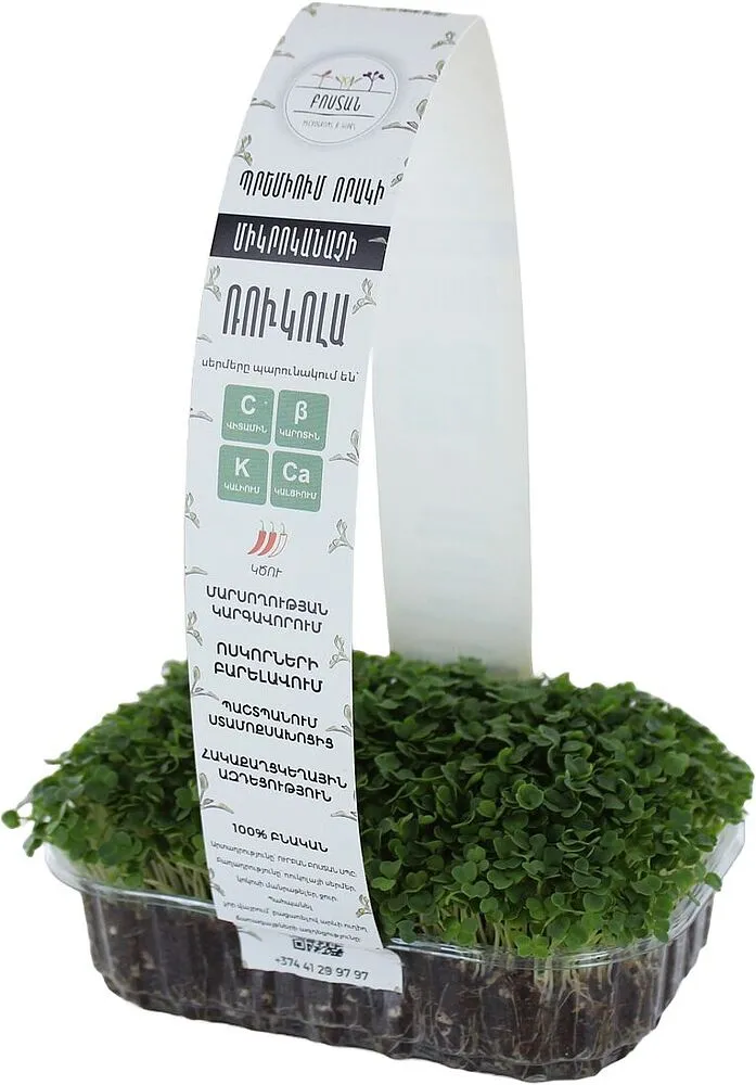 Microgreen arugul "Bostan"
