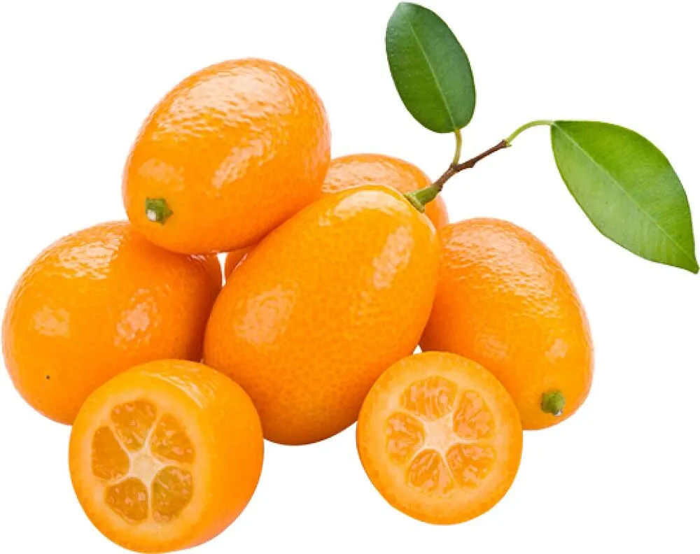 Kumquat