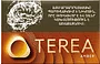 Տաքացվող ծխախոտի գլանակներ «TEREA AMBER»
