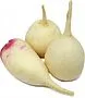 White redish