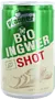Apple, lemon & ginger flavored drink "Pfanner Bio" 150ml