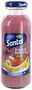 Strawberry & banana juice "Santal Plus" 250ml 