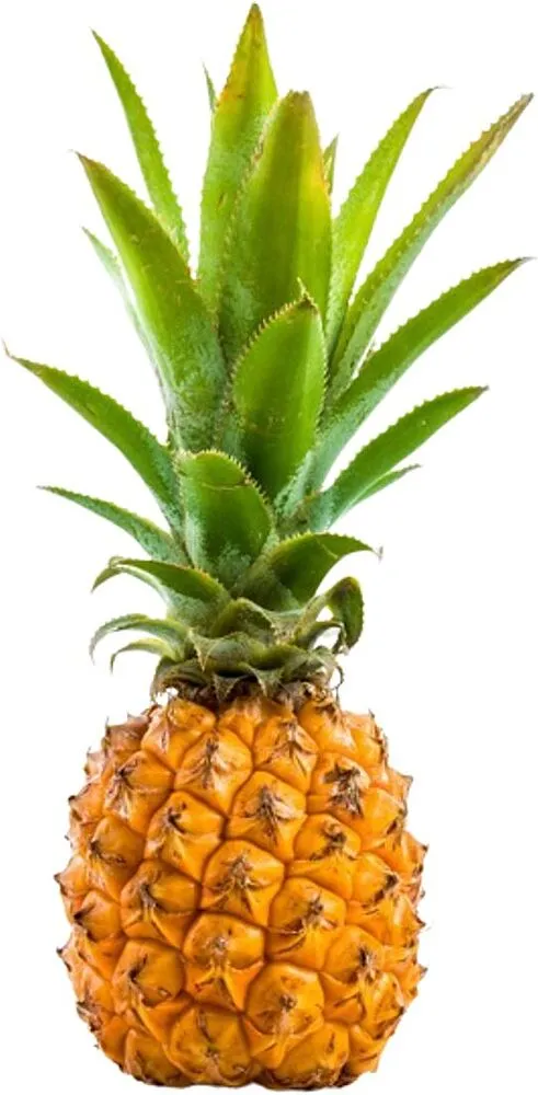 Mini pineapple 
 