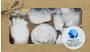 Gypsum painting, small