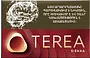 Տաքացվող ծխախոտի գլանակներ «TEREA SIENNA»
