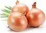 Yellow onion