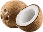 Coconut