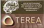 Տաքացվող ծխախոտի գլանակներ «TEREA Teak»

