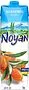 Sea buckthorn nectar "Noyan Premium" 1l