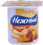 Caramel pudding "Nejniy" 100g, richness: 2,8%