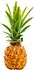 Mini pineapple 
 