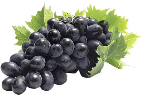 Խաղող սև