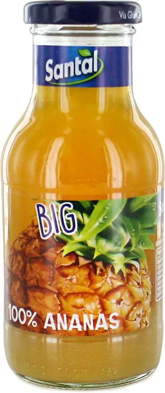 Juice "Santal" 0.25l Pineapple