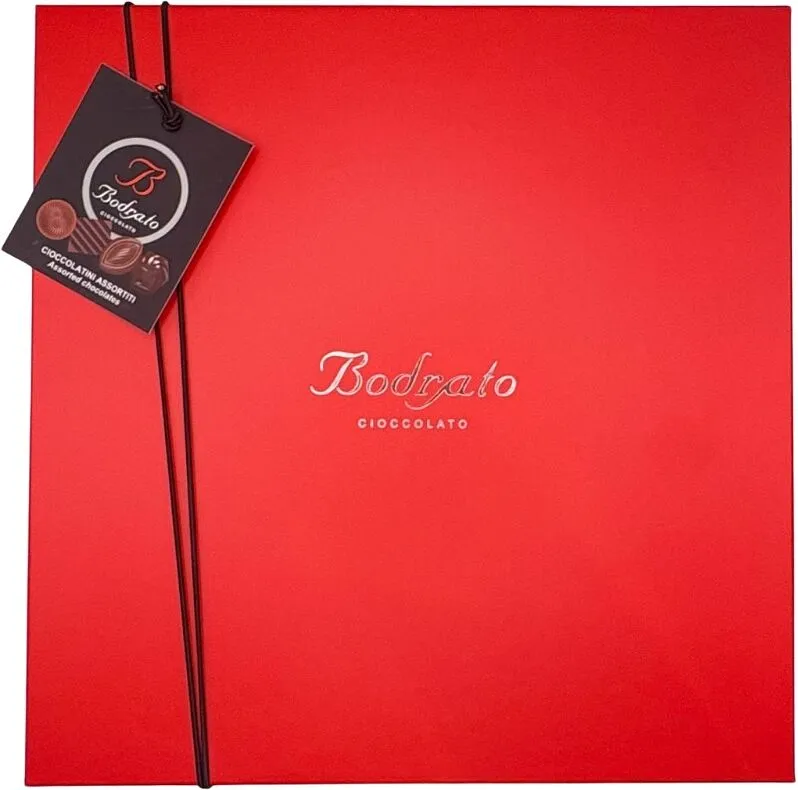 Chocolate candies collection "Bodrato" 480g
