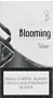 Cigarettes ''Blooming Super Slim Silver"