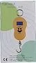Electronic scales