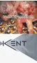 Cigarettes "Kent Spark Silver"
