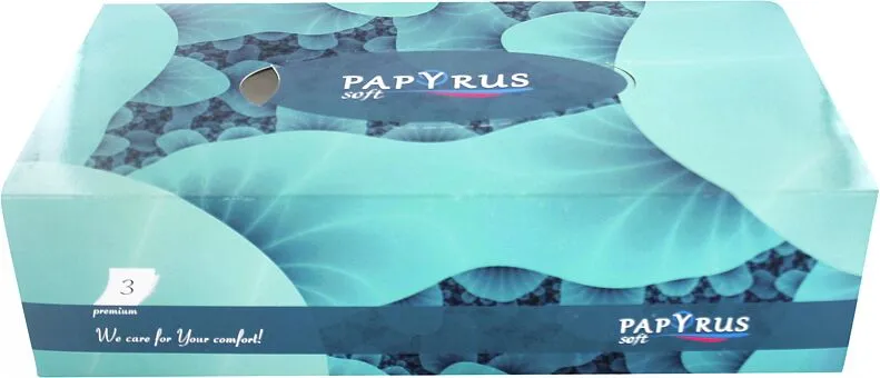 Napkins "Papyrus" 70pcs.