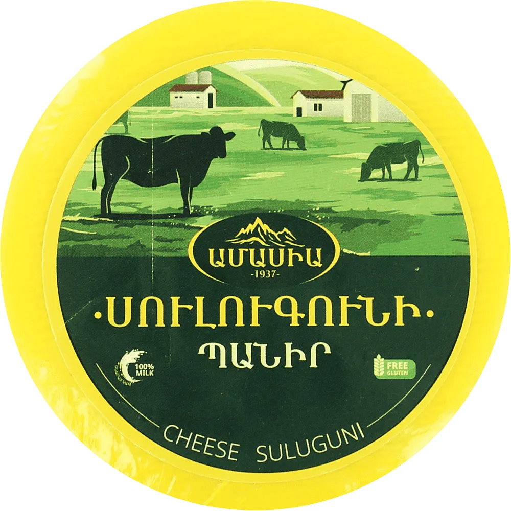 Suluguni cheese "Amasia"